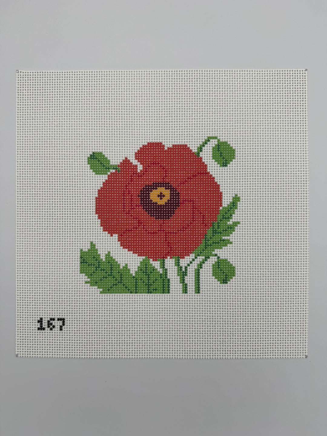 Poppy