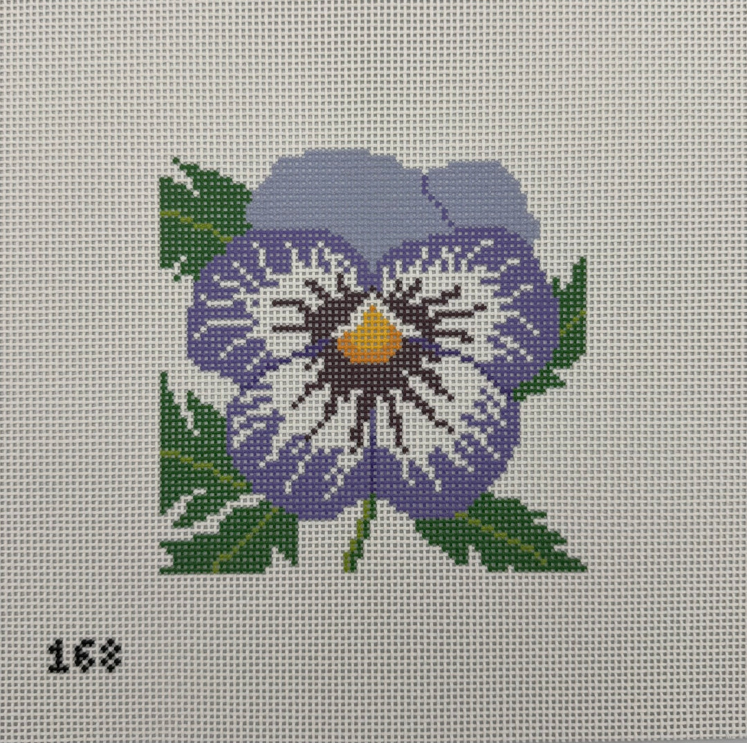 Pansy