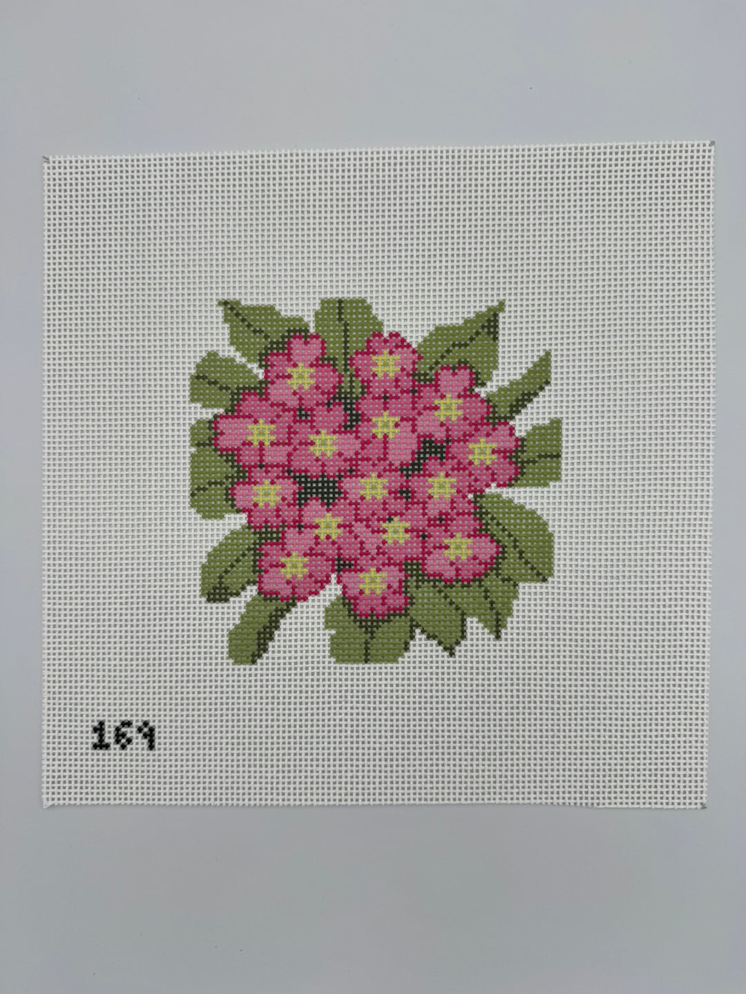 Primrose