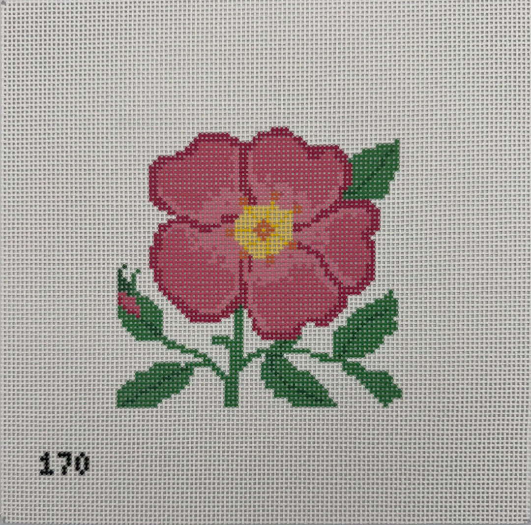 Wild Rose
